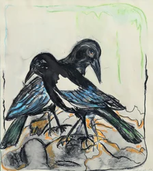 Pájaros negros
