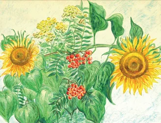 Girasoles y bayas de otoño
