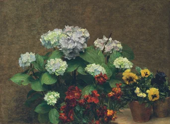 Flores