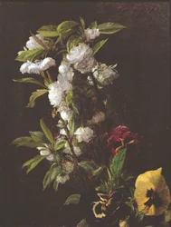 Flores, 1876