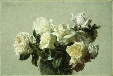 Rosas, 1885