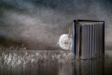 Reflejo de un libro con diente de león