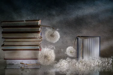 Libros soñadores y dientes de león