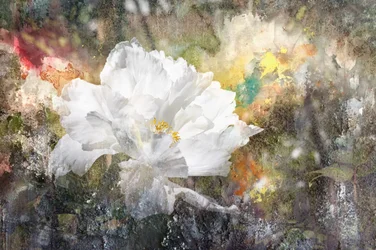 Flor blanca soñadora