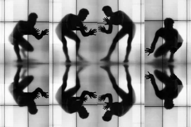 Siluetas dinámicas reflejadas