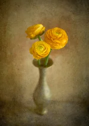 Jarrón «Golden Ranunculus»