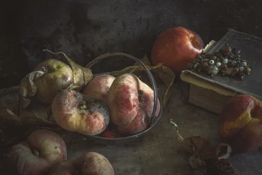 Fruta otoñal melancólica