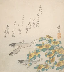 Peces Nadando con Flores Amarillas, ca. 1830
