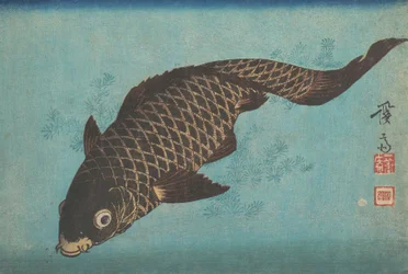 Koi, ca. 1842