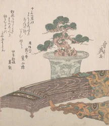 Árbol de pino en maceta y arpa japonesa Koto, siglo XIX