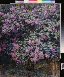 Lila. Pintura de Ilya (Ilia) Semenovich Ostroukhov (1858-1929), óleo sobre lienzo