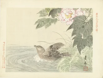 Pájaro de baño en flor rosa Bocetos de flores y pájaros de Keinen (título de la serie) Keinen kacho gafu (título de la serie sobre el objeto)