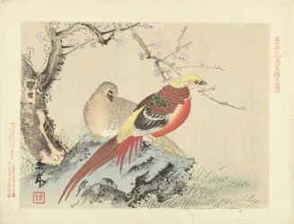 Par de faisanes en roca Bocetos de flores y pájaros de Keinen (título de la serie) Keinen kacho gafu (título de la serie sobre el objeto)