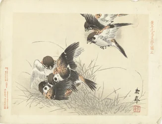Cinco gorriones peleando Bocetos de flores y pájaros de Keinen (título de la serie) Keinen kacho gafu (título de la serie sobre el objeto)
