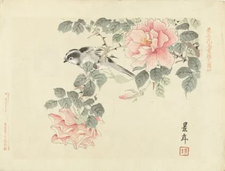 Pájaro blanco y negro entre rosas rosadas - Bocetos de flores y pájaros de Keinen (título de la serie) - Keinen kacho gafu (título de la serie en el objeto)