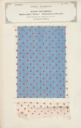 Muestra de muselina Bootee bordada con puntos de Dacca en Bengala, de La Colección de los Fabricantes de Textiles de la India, por John Forbes Watson, publicada en 1866