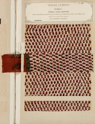 Muestra de turbante de algodón grueso de Sydapet en Madras, de La Colección de los Fabricantes de Textiles de la India, por John Forbes Watson, publicado en 1866
