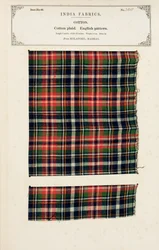 Muestra de algodón a cuadros de Mylapore en Madrás, de La Colección de los Fabricantes de Textiles de la India, por John Forbes Watson, publicada en 1866