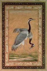 Grullas de Mansur, periodo Jahangir, mogol