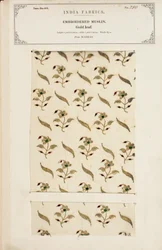 Muestra de muselina bordada de Madrás, de La Colección de los Fabricantes de Textiles de la India, por John Forbes Watson, publicada en 1866