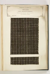 Material para Pantalones, Loodiana, Punjab, Tejidos, de La Colección de los Fabricantes de Textiles de la India, por John Forbes Watson, publicado en 1866