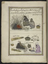Hombres y mujeres asando castañas de agua,  86 dibujos encuadernados en un volumen que representa oficios y ocupaciones en Cachemira, se muestra a los artesanos trabajando con sus implementos y equipos,  Por un artista de Cachemira, probablemente en Srinag