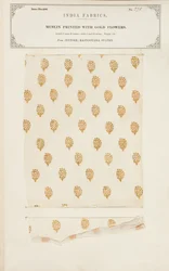 Muestra de muselina impresa con flores doradas de Jeypore en los Estados de Rajpootana, de La Colección de los Fabricantes de Textiles de la India, por John Forbes Watson, publicada en 1866