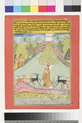 Todi Ragini