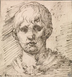 Cabeza de niño