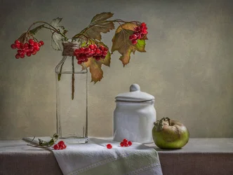 Bayas de otoño y manzana