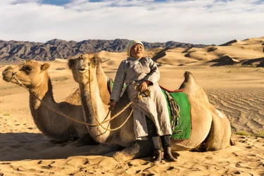 Una mujer descansa con camellos en el desierto del Gobi Meridional, Mongolia, 2015 (foto)