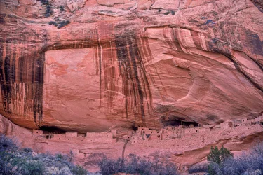Las mazorcas de maíz, restos de la última comida ancestral de estos anasazi, siguen...