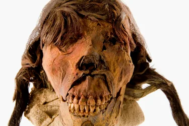 Retrato de la cabeza de la momia femenina El brujo sobre fondo blanco.
