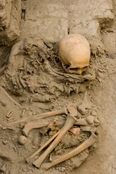 La mujer sacrificada en el entierro con el fardo de mommu en Huaca El Brujo., 2005 (foto)