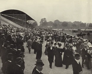 Exposición de caballos, Ball