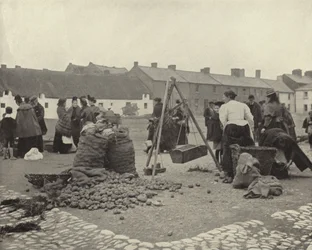 El Mercado de Papas, Drogheda