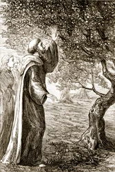 San Columba cambia fruta amarga en dulce, de The Trias Thaumaturga, o Tres Santos Milagrosos de Irlanda, por Mary Cusack (1829-99) publicado c.1890s