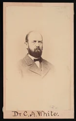 Retrato de Charles Abiathar White 1826-1910, 1868