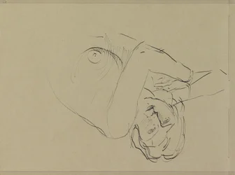 Desnudo femenino reclinado