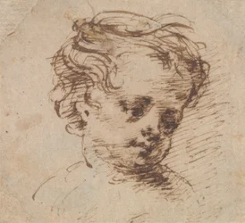 Cabeza de niño mirando a la derecha