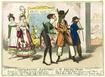 Anatomía comparada