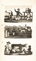 Aguador, portero de boletos, portero de la hermandad, parada de coches y leche fresca de la vaca