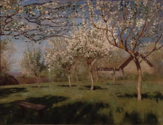 Manzanos en flor