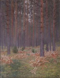 Helechos, 1894