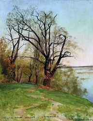 Roble en la orilla del río, 1887