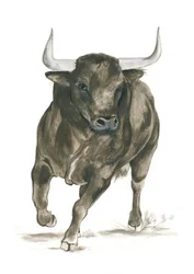 Poder de un toro embistiendo