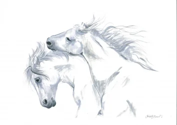 Libertad de los caballos en movimiento