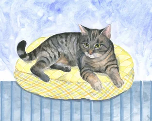 Gato almohada