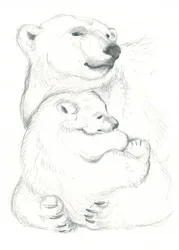 Dibujo de oso polar y cría