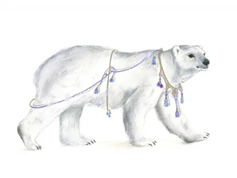 Majestad polar regia